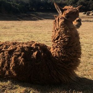 Meet your Posher, Kaylee